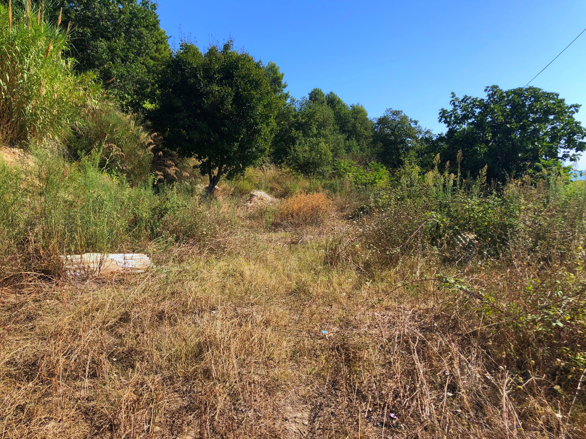 Rustico in vendita a Grottammare