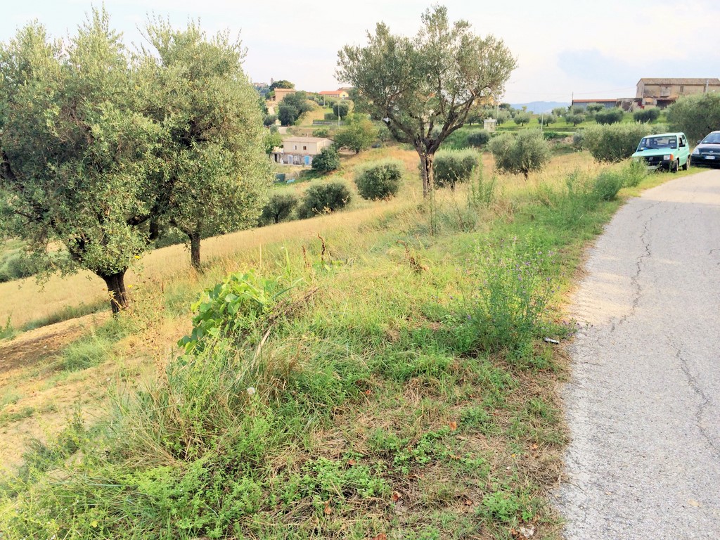 immagine annuncio 2 di 6