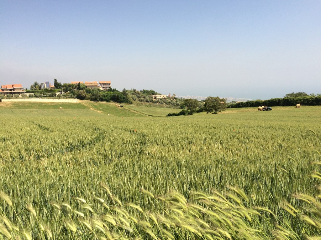 immagine annuncio 2 di 6