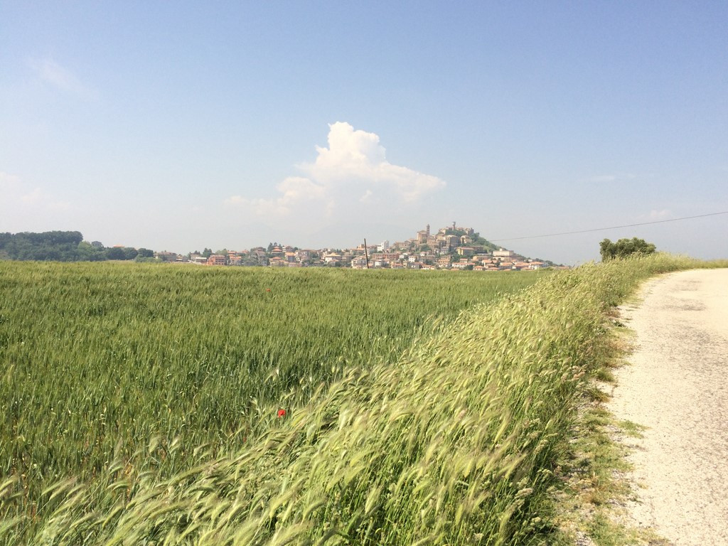 immagine annuncio 4 di 6