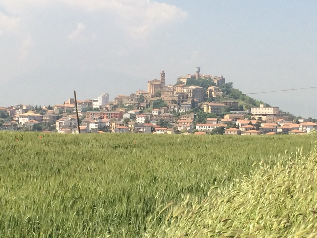 immagine annuncio 5 di 6