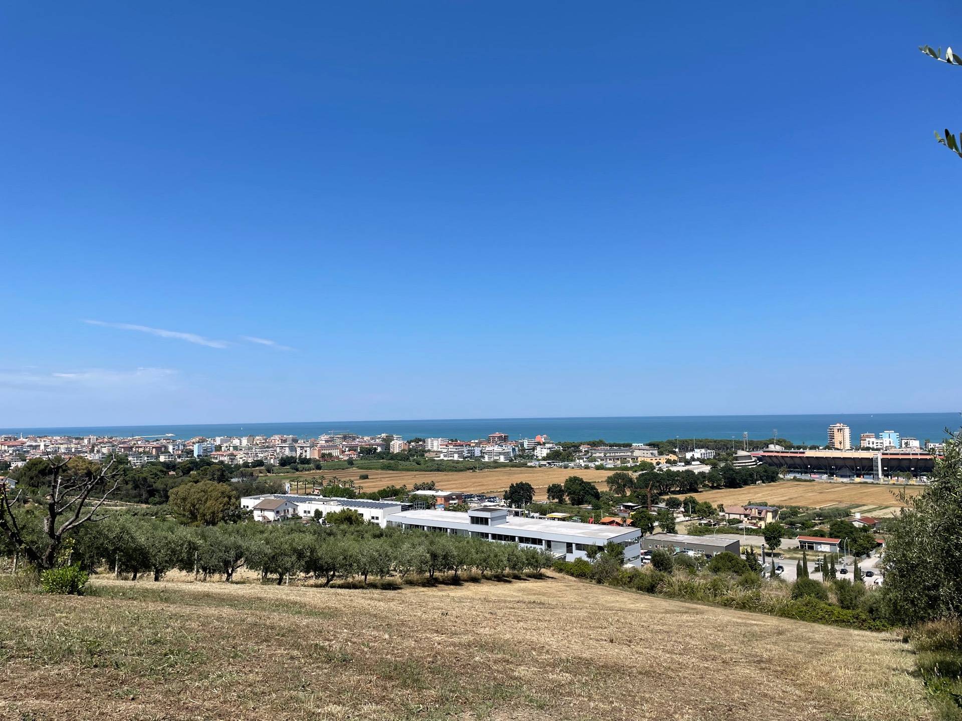 immagine annuncio 5 di 6