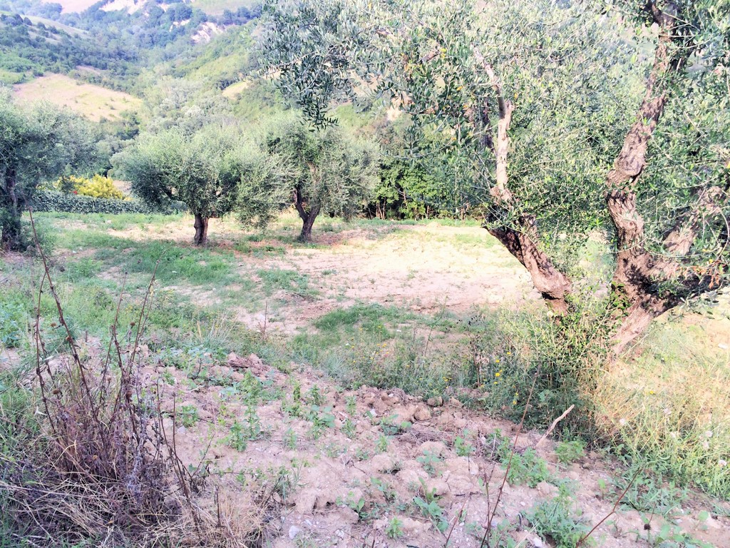 immagine annuncio 4 di 6