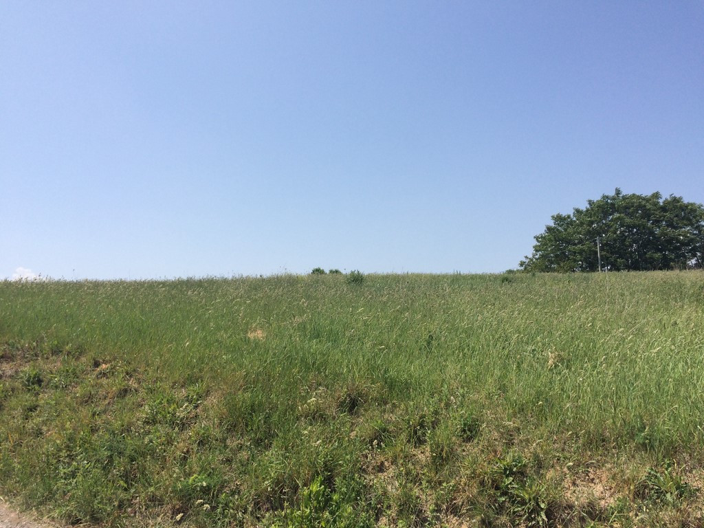 Terreno edificabile in vendita a Colonnella