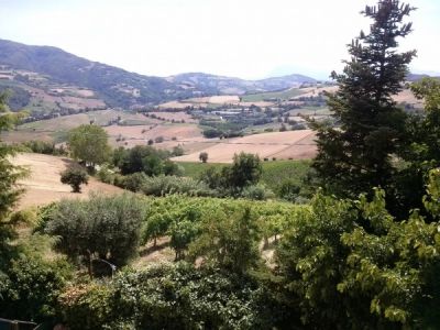 Rustico in vendita a Montedinove