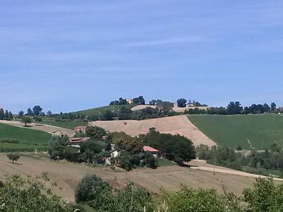 Rustico in vendita a Montedinove