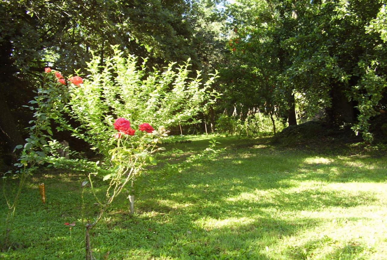 Casa singola in vendita a Offida