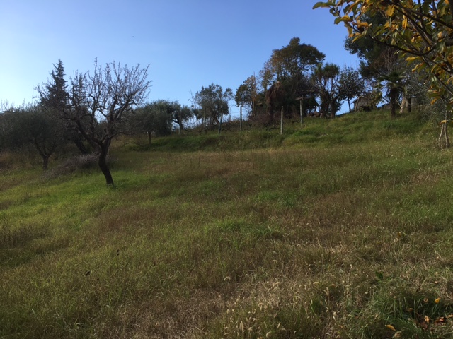 Terreno edificabile in vendita a Monsampolo del Tronto, Monsampolo