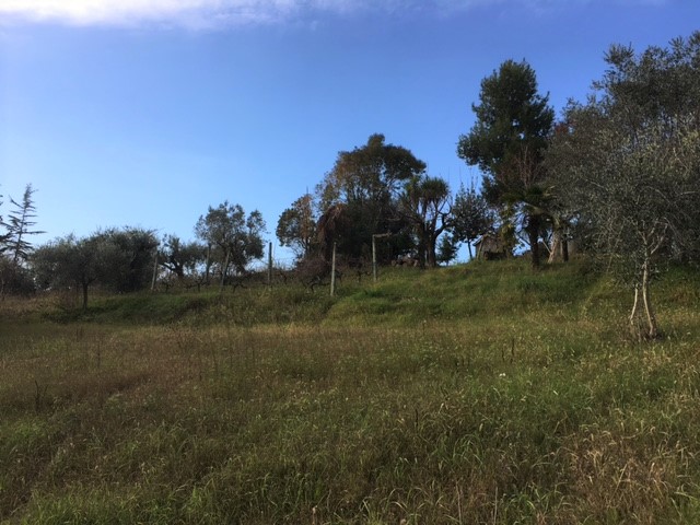 Terreno edificabile in vendita a Monsampolo del Tronto, Monsampolo