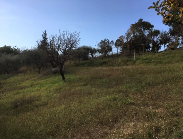 Terreno edificabile in vendita a Monsampolo del Tronto, Monsampolo