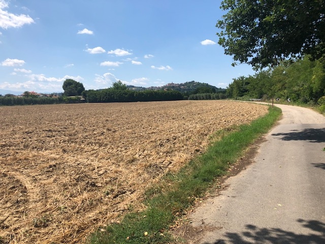 Terreno Agricolo in vendita a Spinetoli, Pagliare