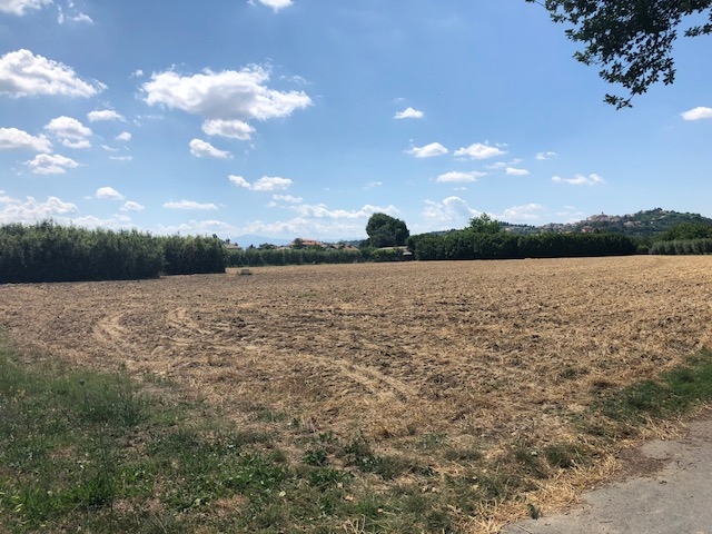 Terreno Agricolo in vendita a Spinetoli, Pagliare