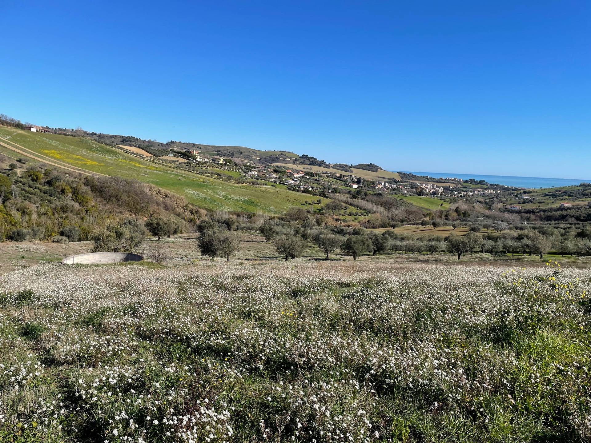 Terreno Agricolo in vendita a Acquaviva Picena