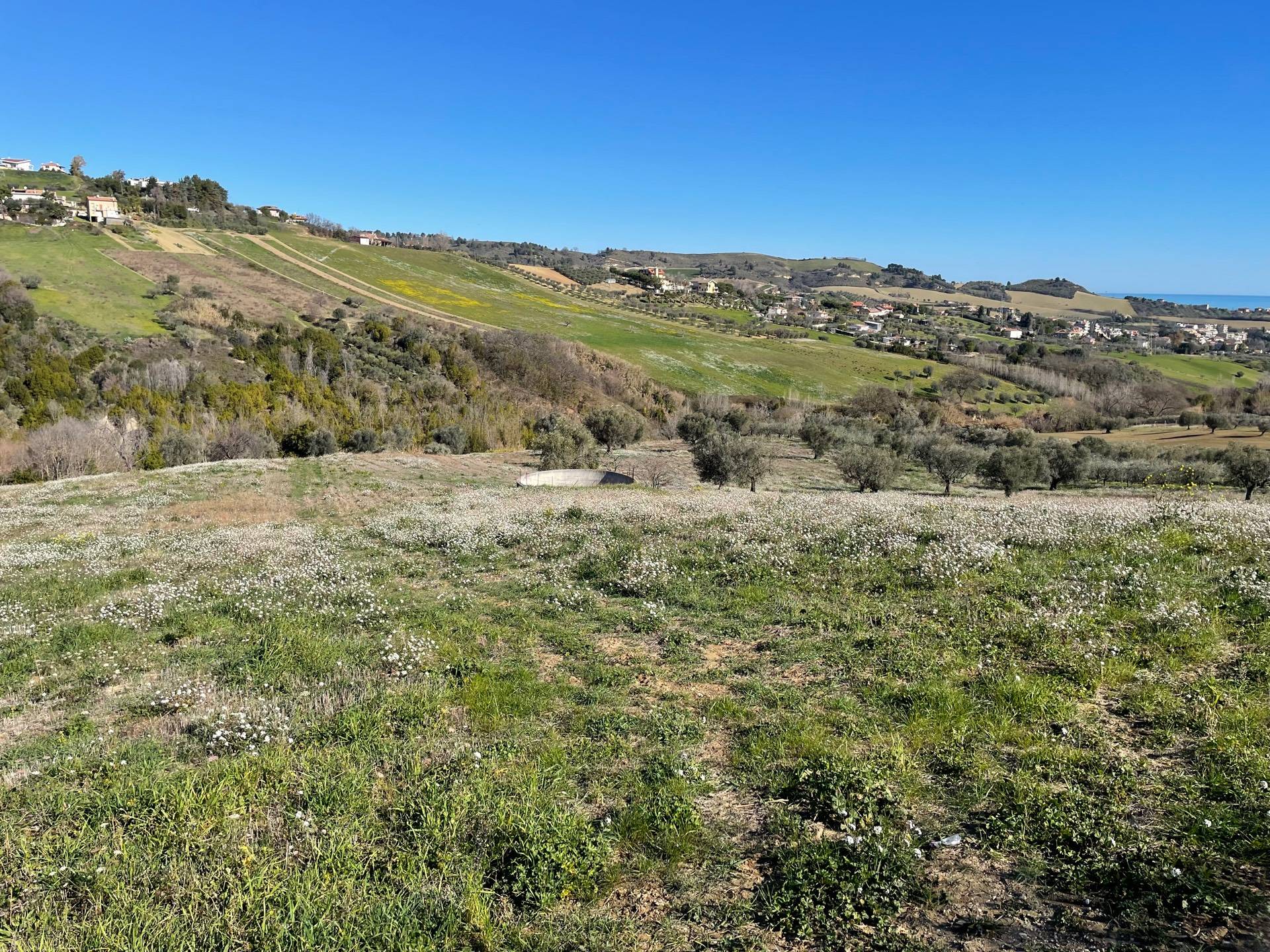 Terreno Agricolo in vendita a Acquaviva Picena
