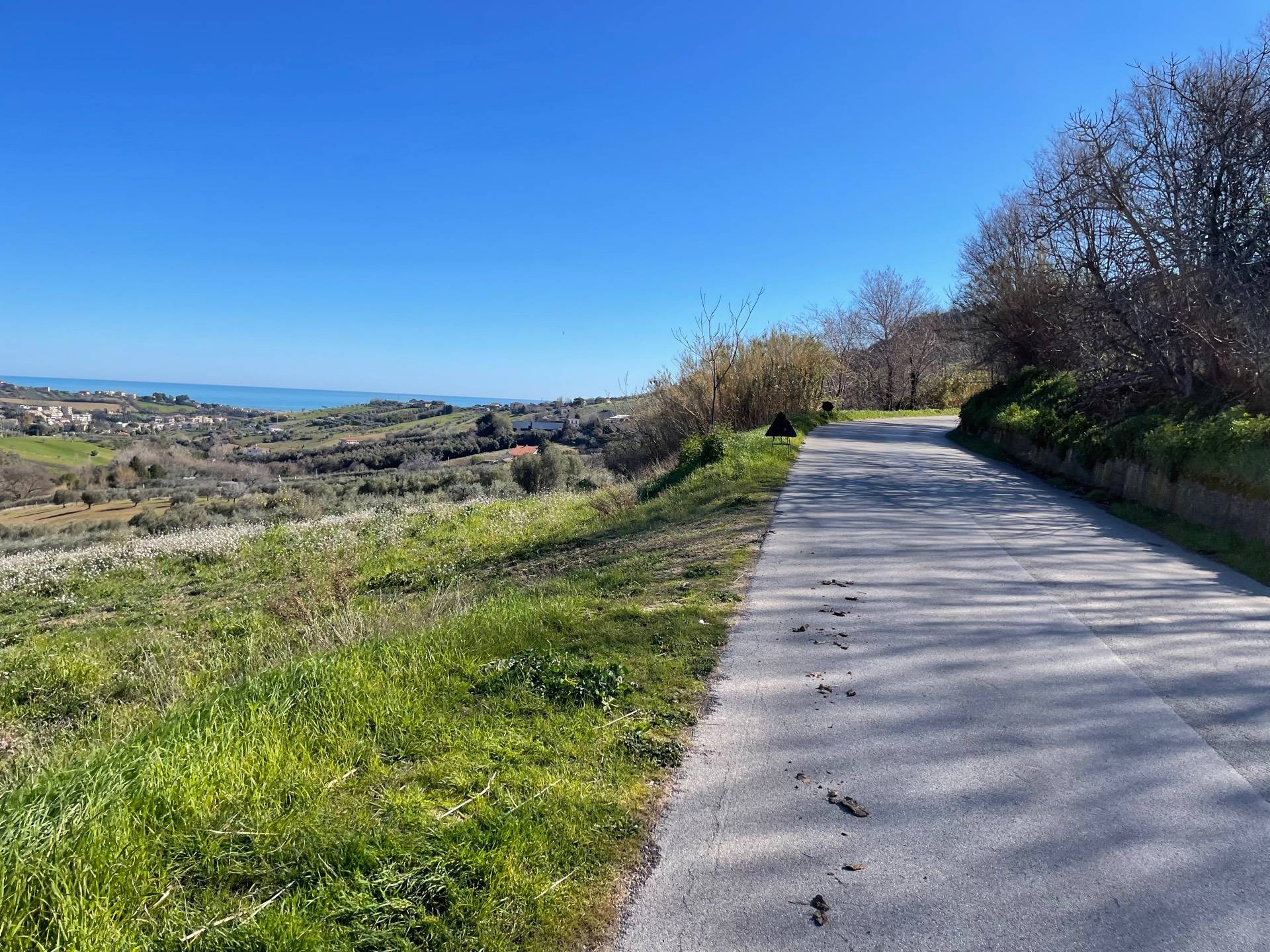 Terreno Agricolo in vendita a Acquaviva Picena