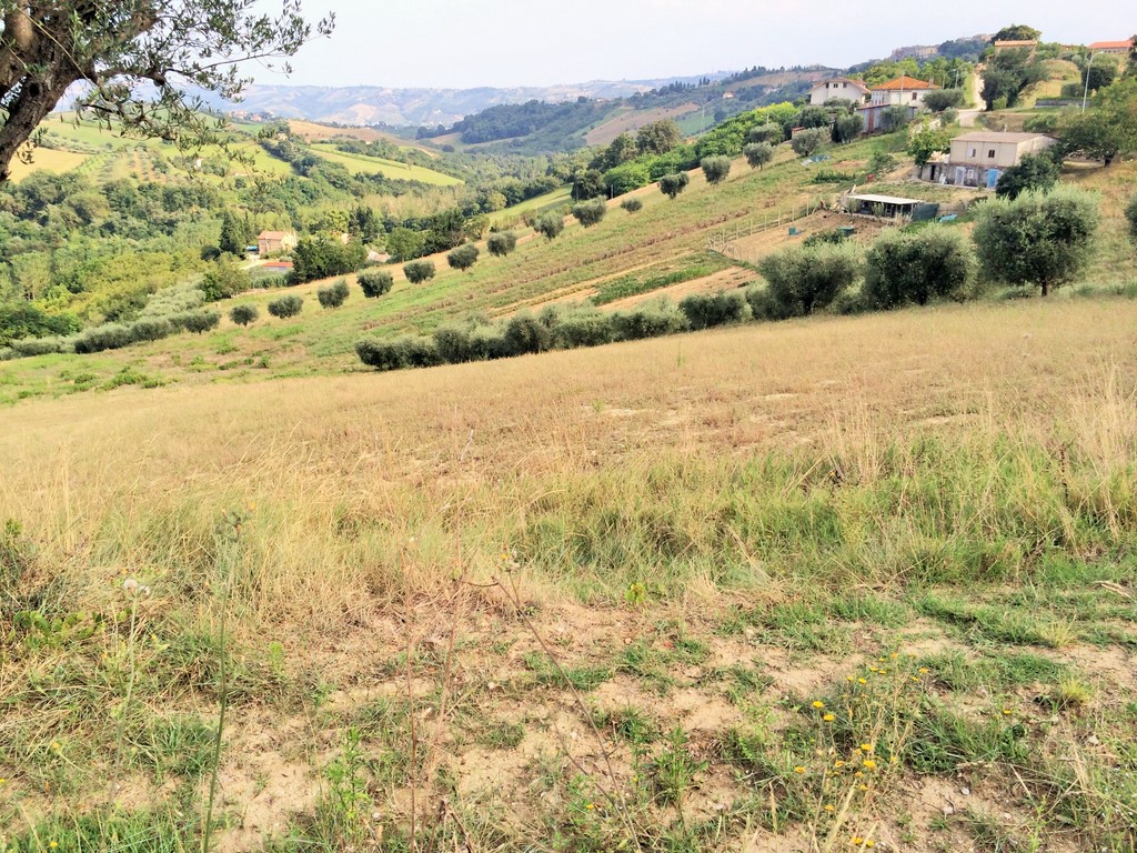 immagine annuncio 3 di 6