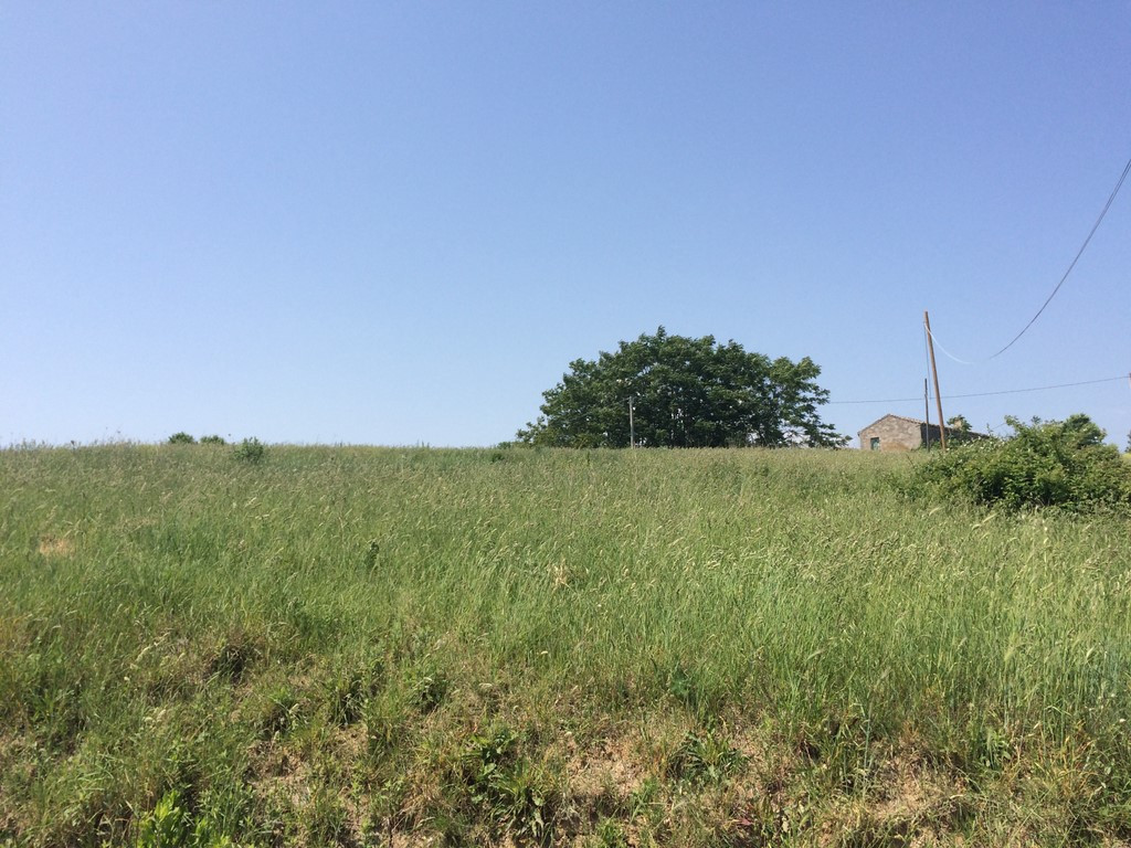 Terreno edificabile in vendita a Colonnella