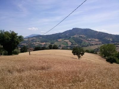 immagine annuncio 6 di 9