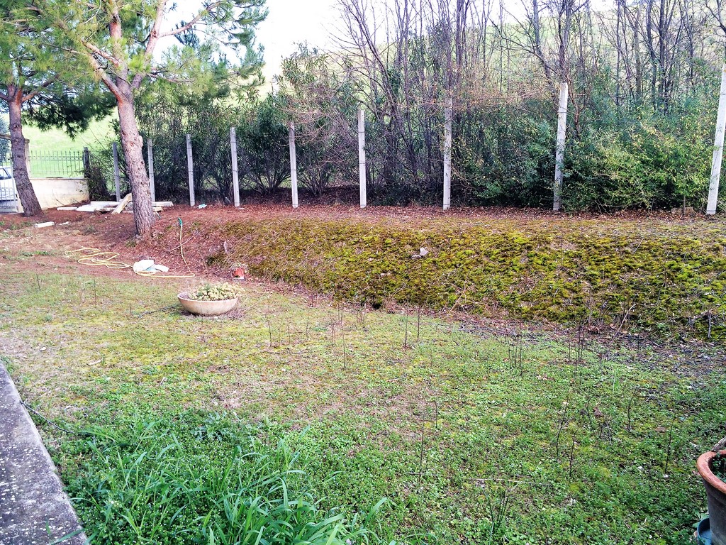 Rustico in vendita a Carassai