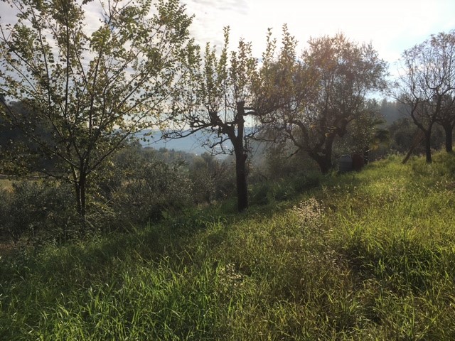 Terreno edificabile in vendita a Monsampolo del Tronto, Monsampolo