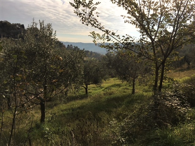 Terreno edificabile in vendita a Monsampolo del Tronto, Monsampolo