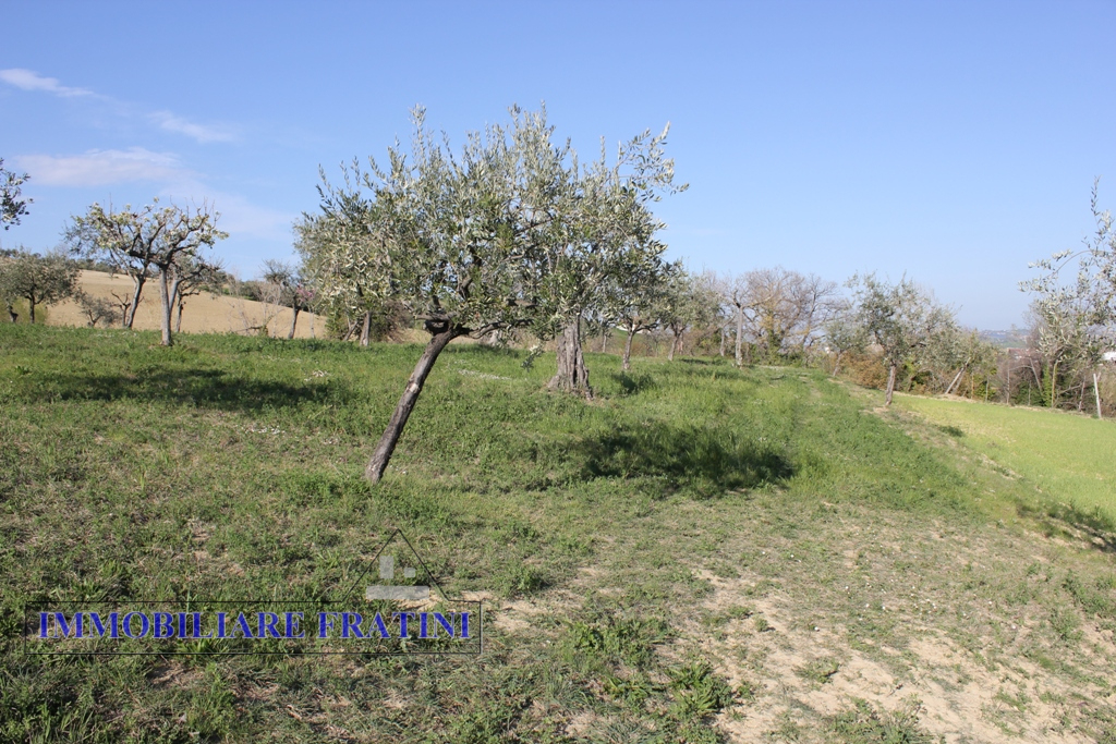 immagine annuncio 3 di 6