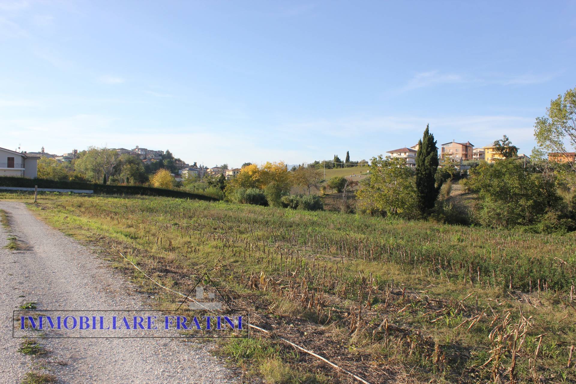 immagine annuncio 2 di 6