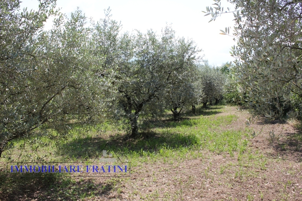 Terreno edificabile in vendita a Colli del Tronto, Villa San Giusepe