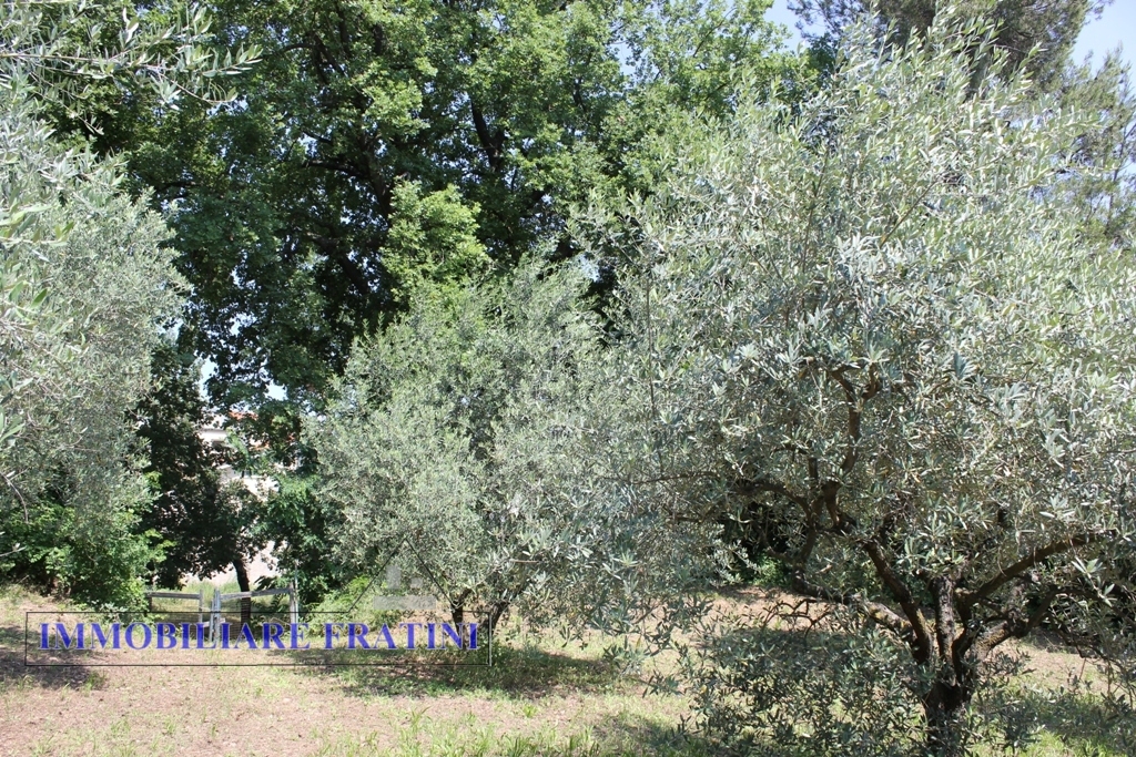Terreno edificabile in vendita a Colli del Tronto, Villa San Giusepe