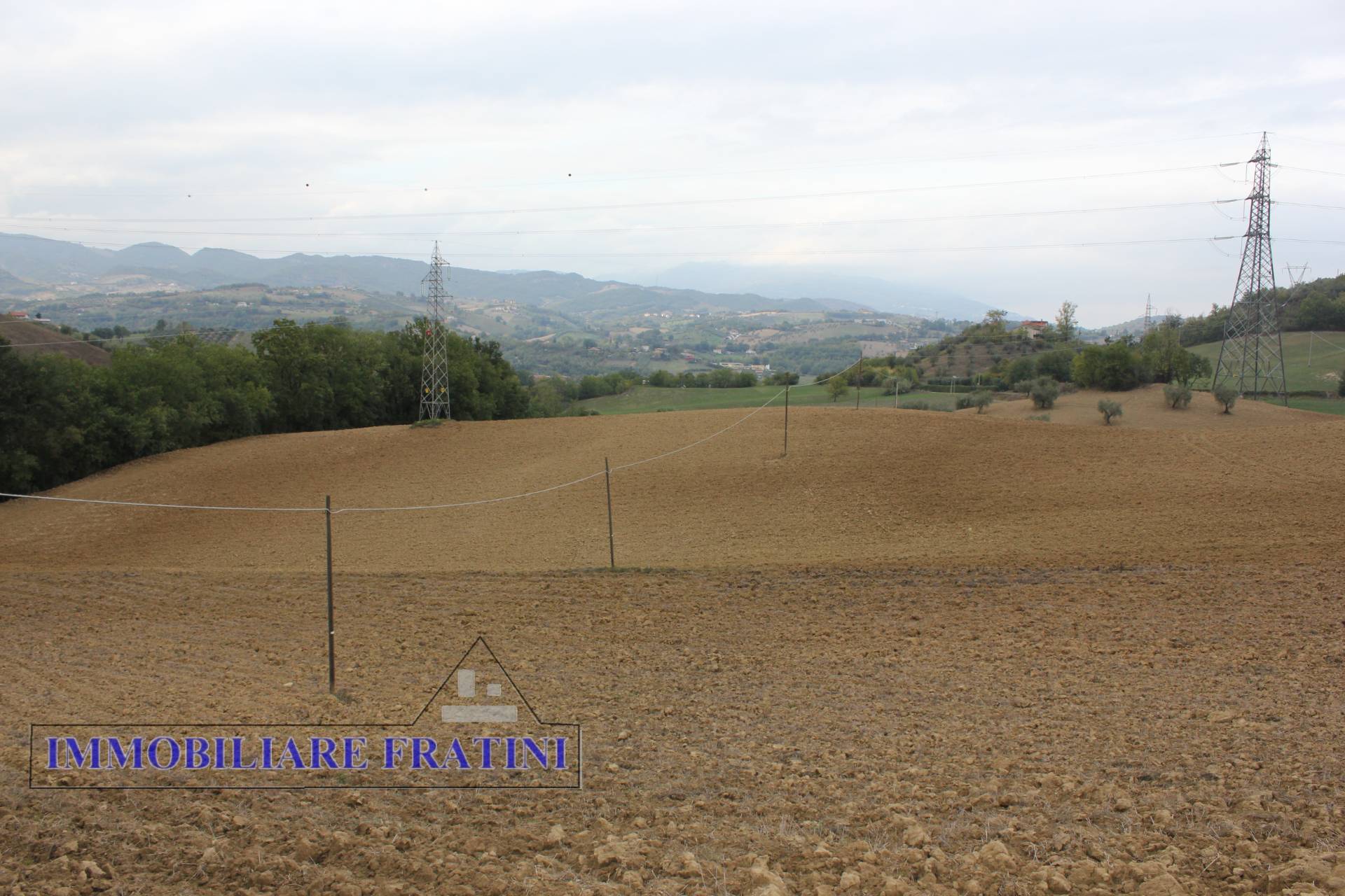 Terreno Agricolo in vendita a Tossicia