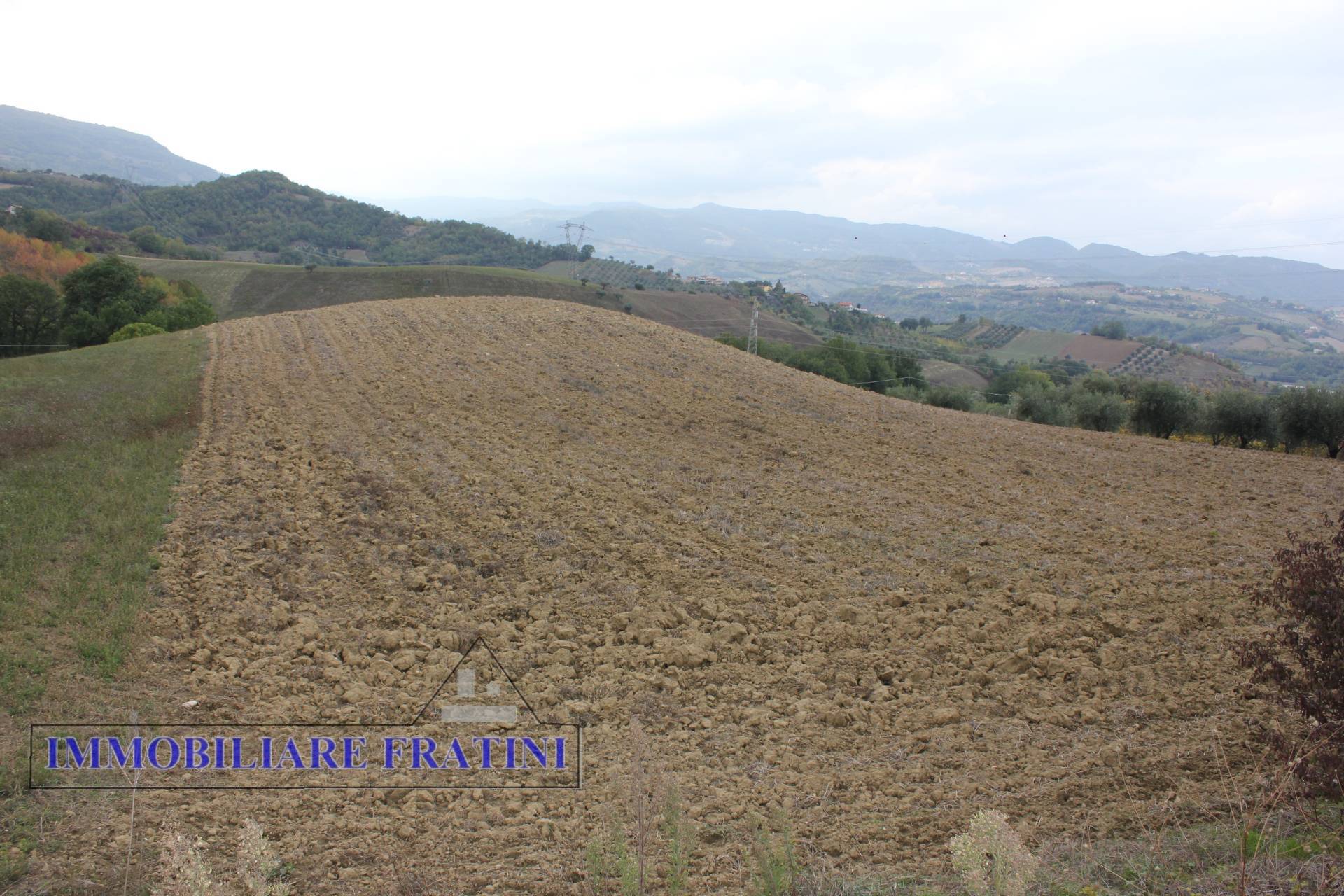 Terreno Agricolo in vendita a Tossicia