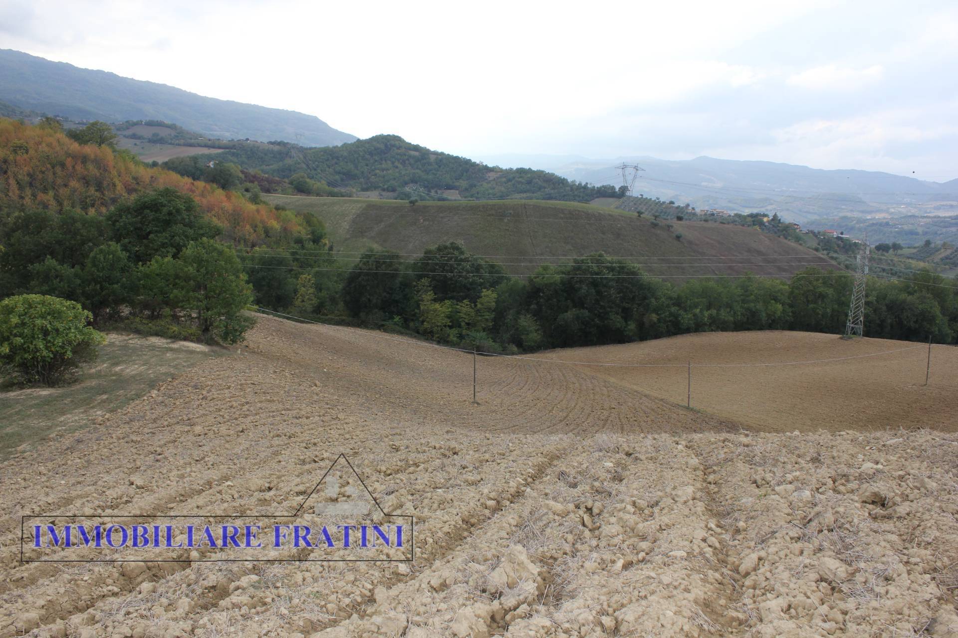 Terreno Agricolo in vendita a Tossicia