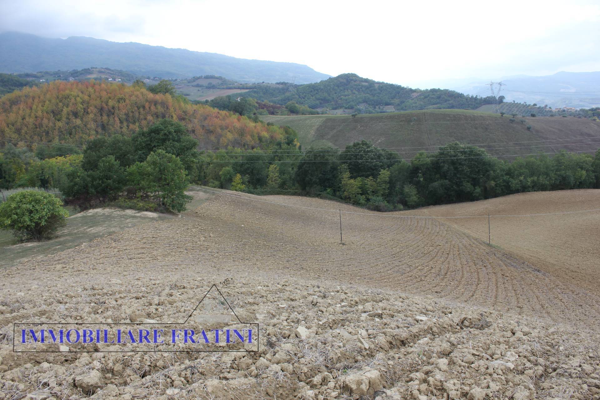 Terreno Agricolo in vendita a Tossicia