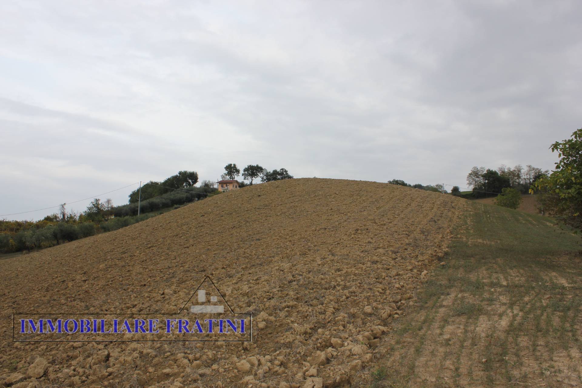 Terreno Agricolo in vendita a Tossicia