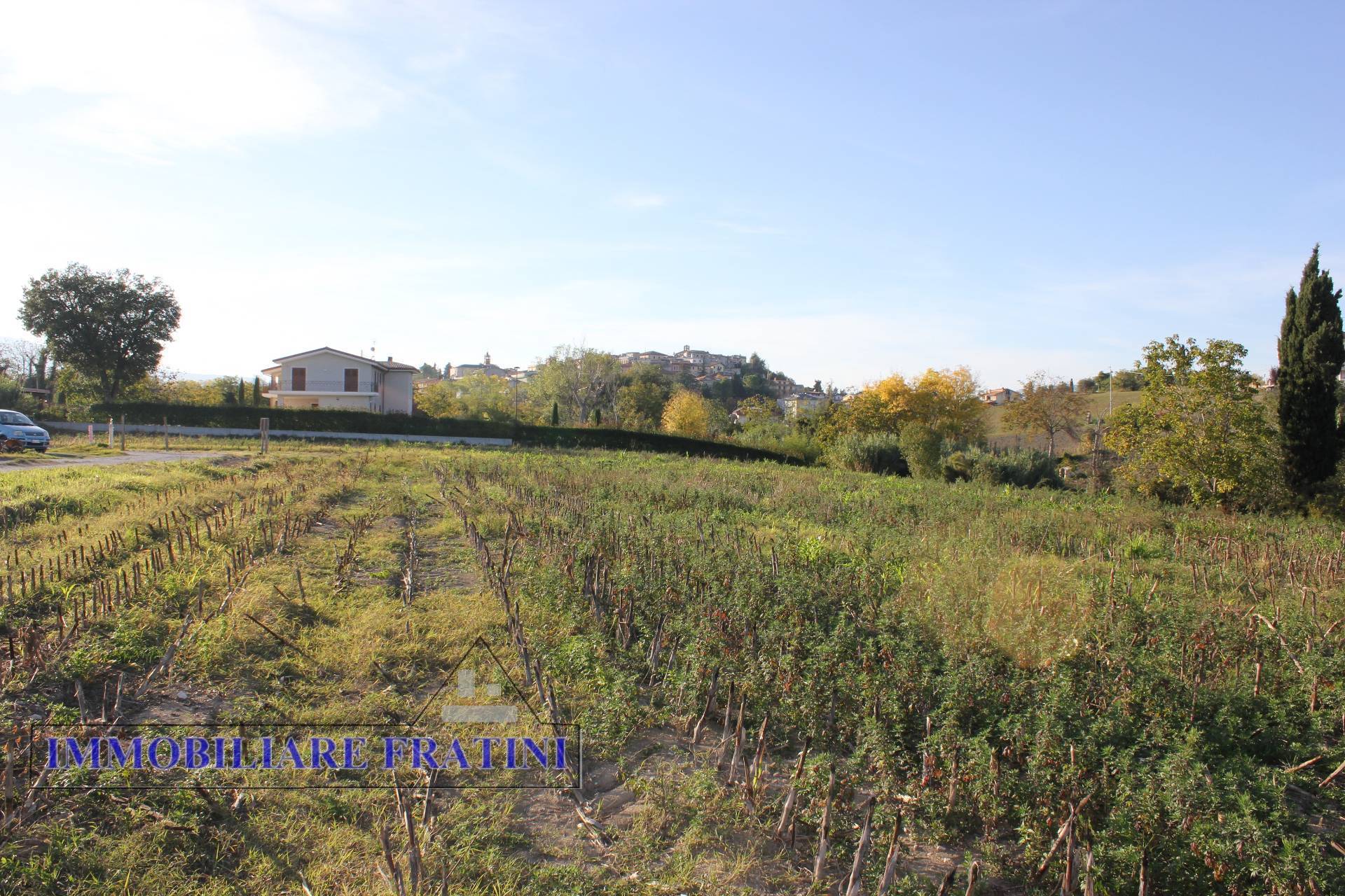 Terreno Agricolo in vendita a Maltignano