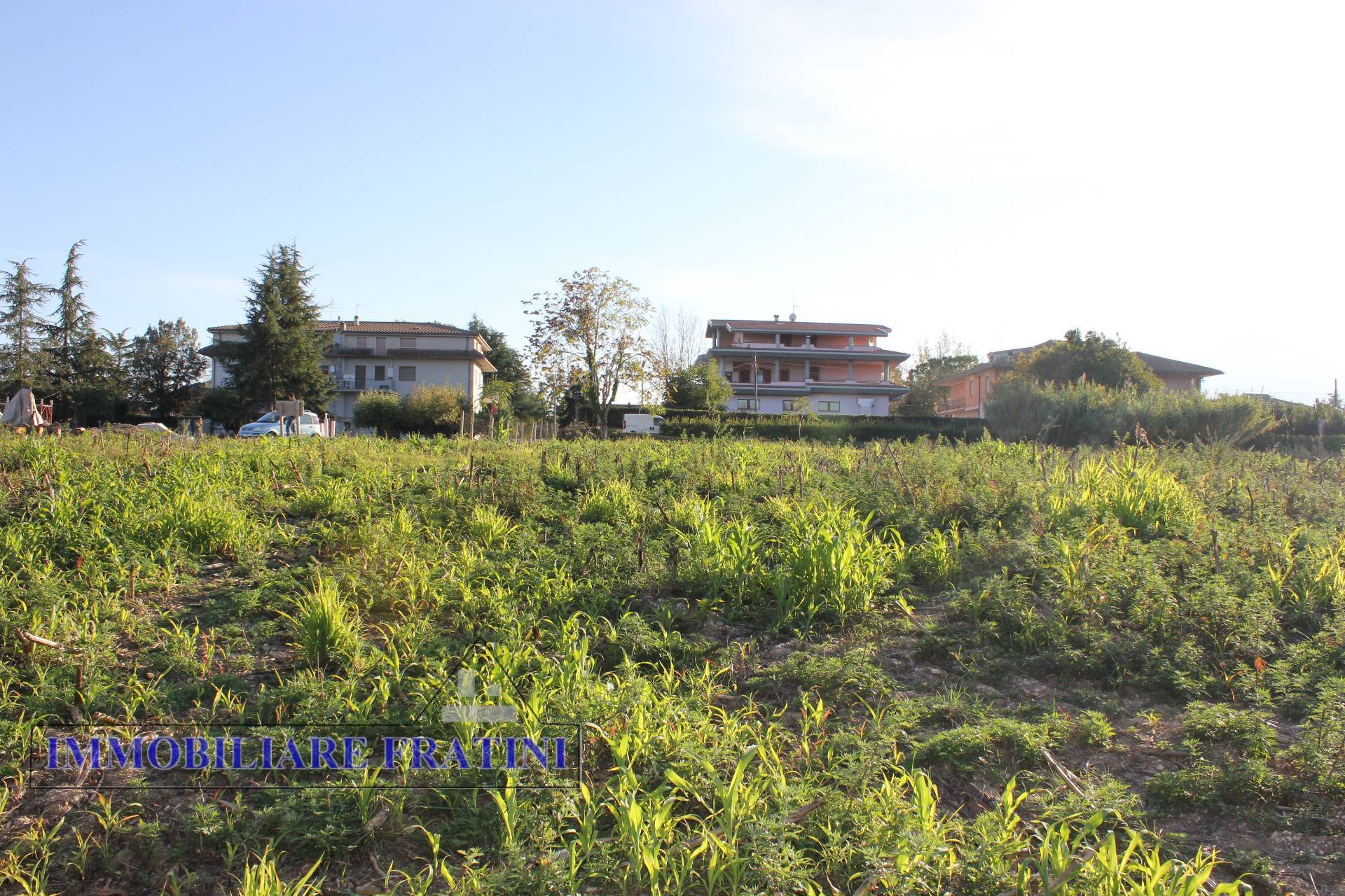 Terreno Agricolo in vendita a Maltignano