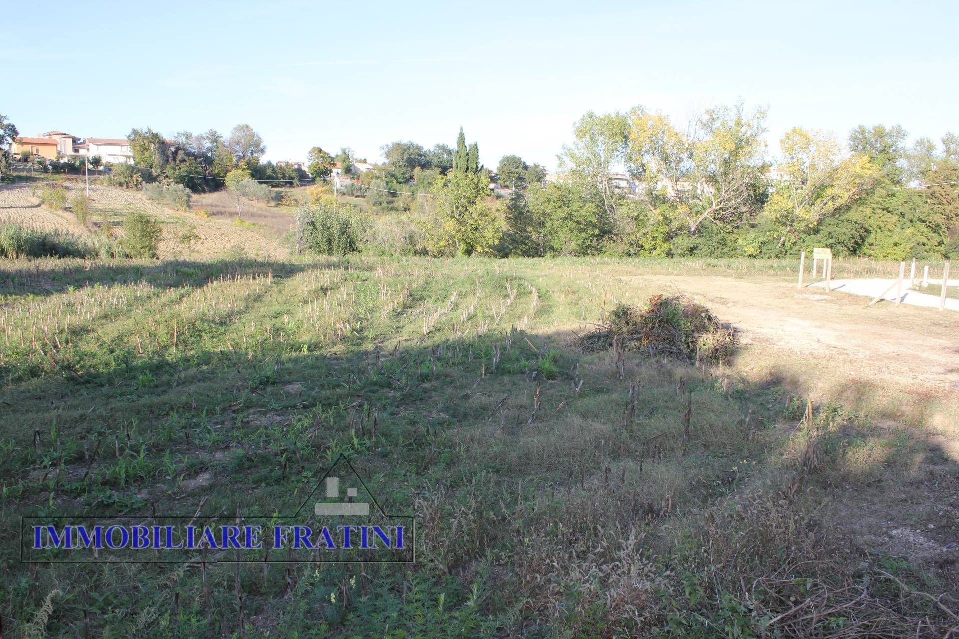 Terreno Agricolo in vendita a Maltignano