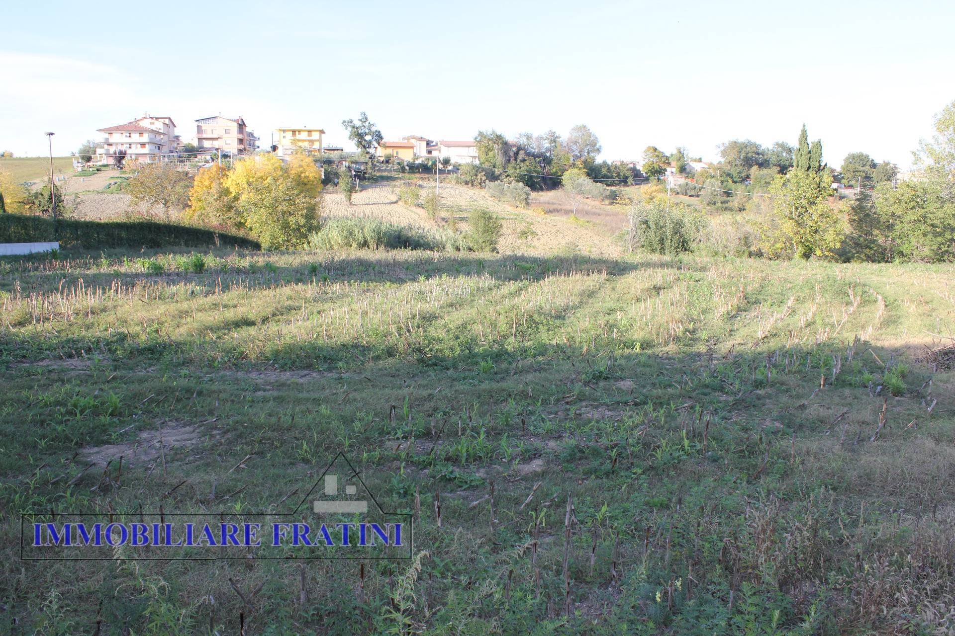 Terreno Agricolo in vendita a Maltignano