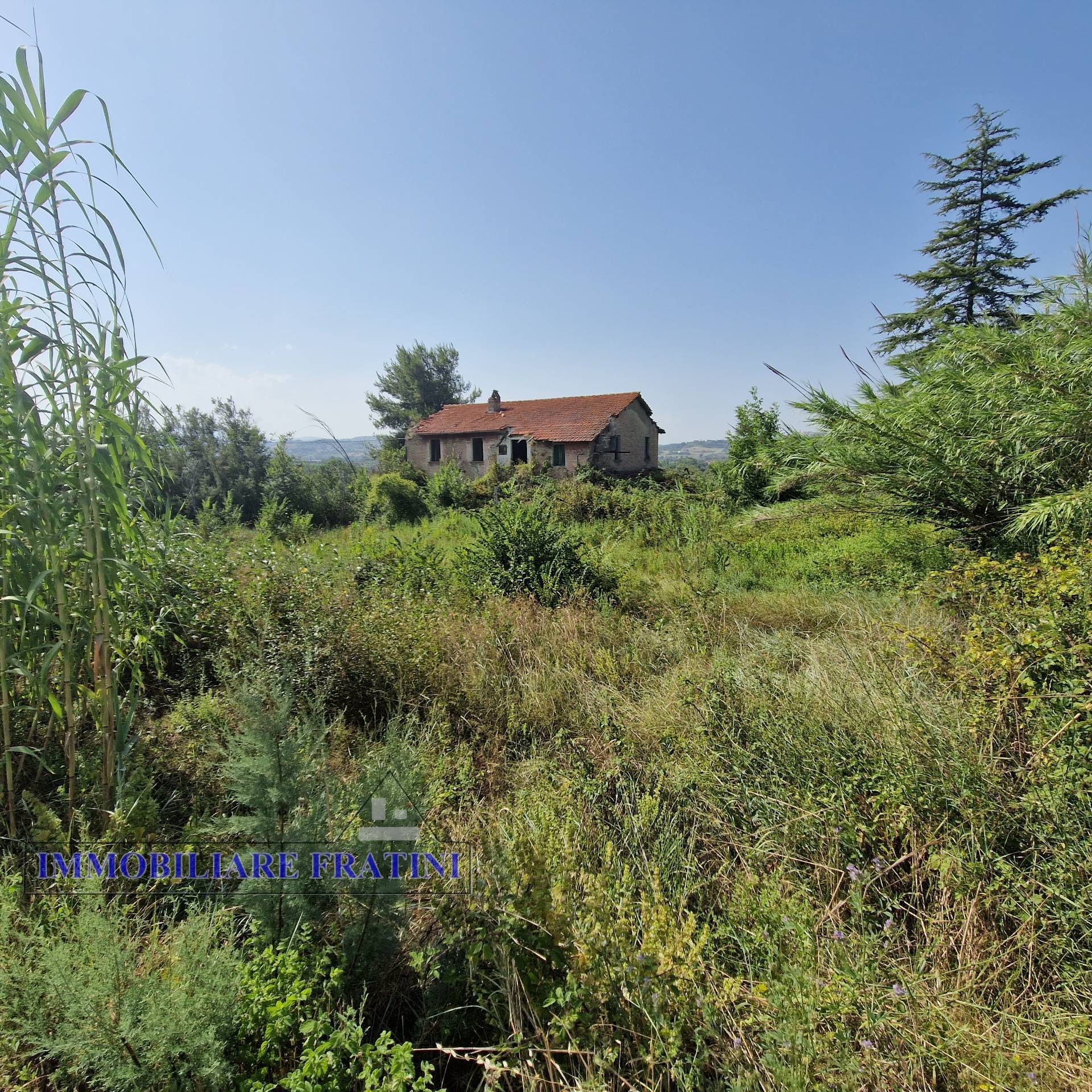 Casolare e Terreno in vendita a Controguerra