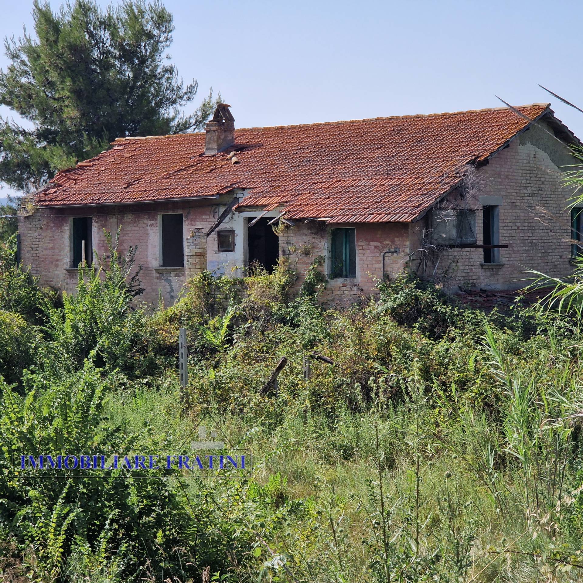 Casolare e Terreno in vendita a Controguerra