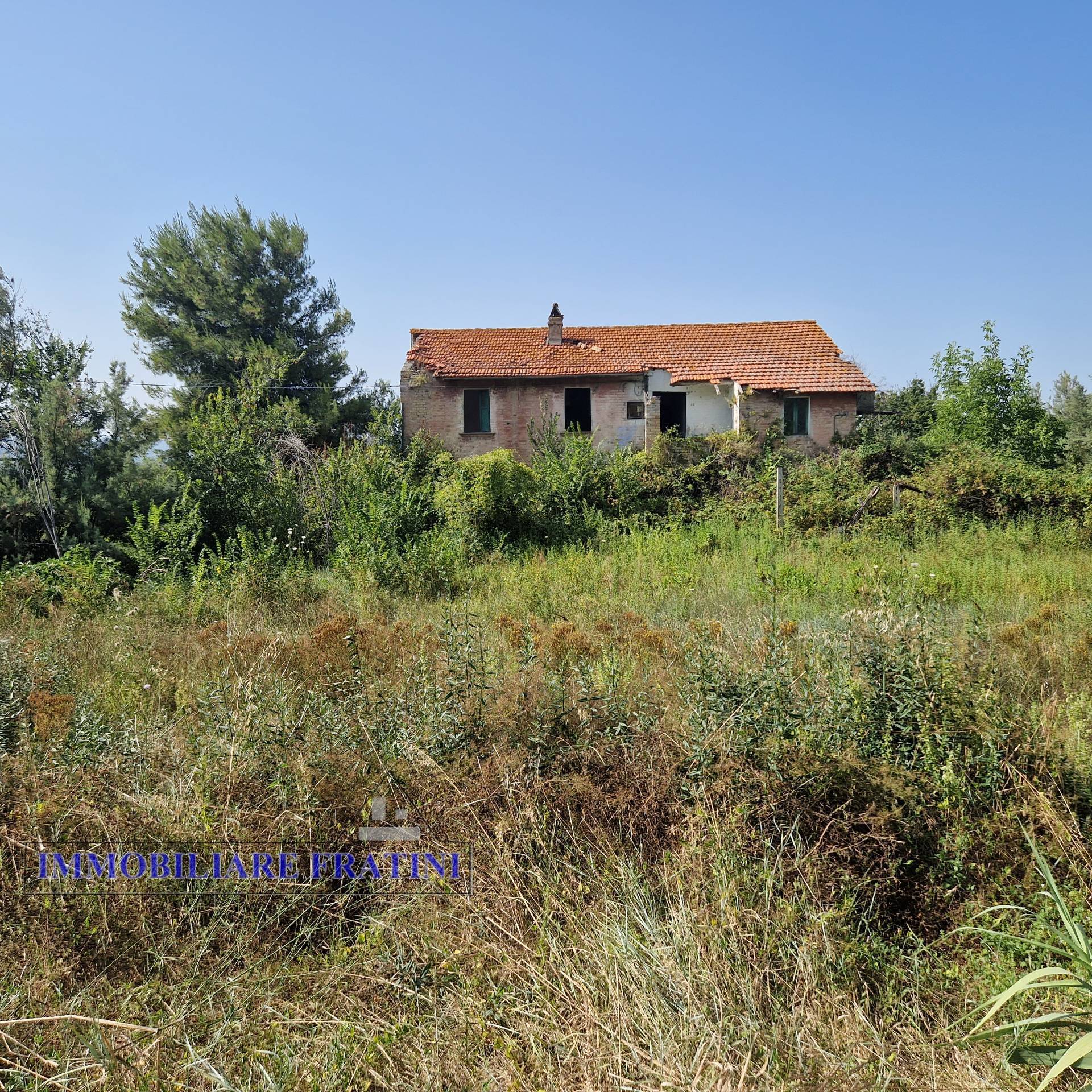 Casolare e Terreno in vendita a Controguerra