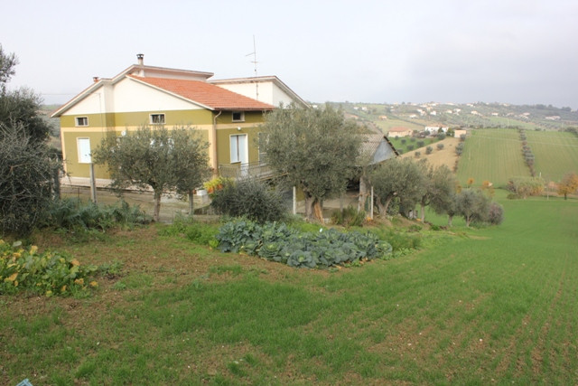 Casolare e Terreno in vendita a Civitella del Tronto, Borrano