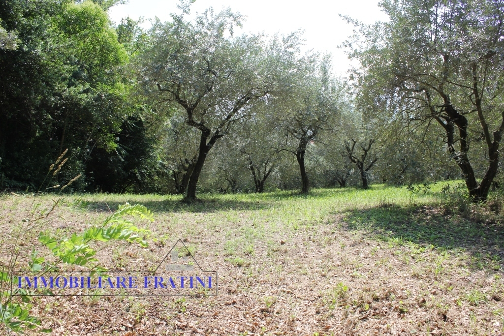 Terreno edificabile in vendita a Colli del Tronto, Villa San Giusepe