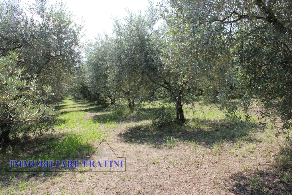 Terreno edificabile in vendita a Colli del Tronto, Villa San Giusepe