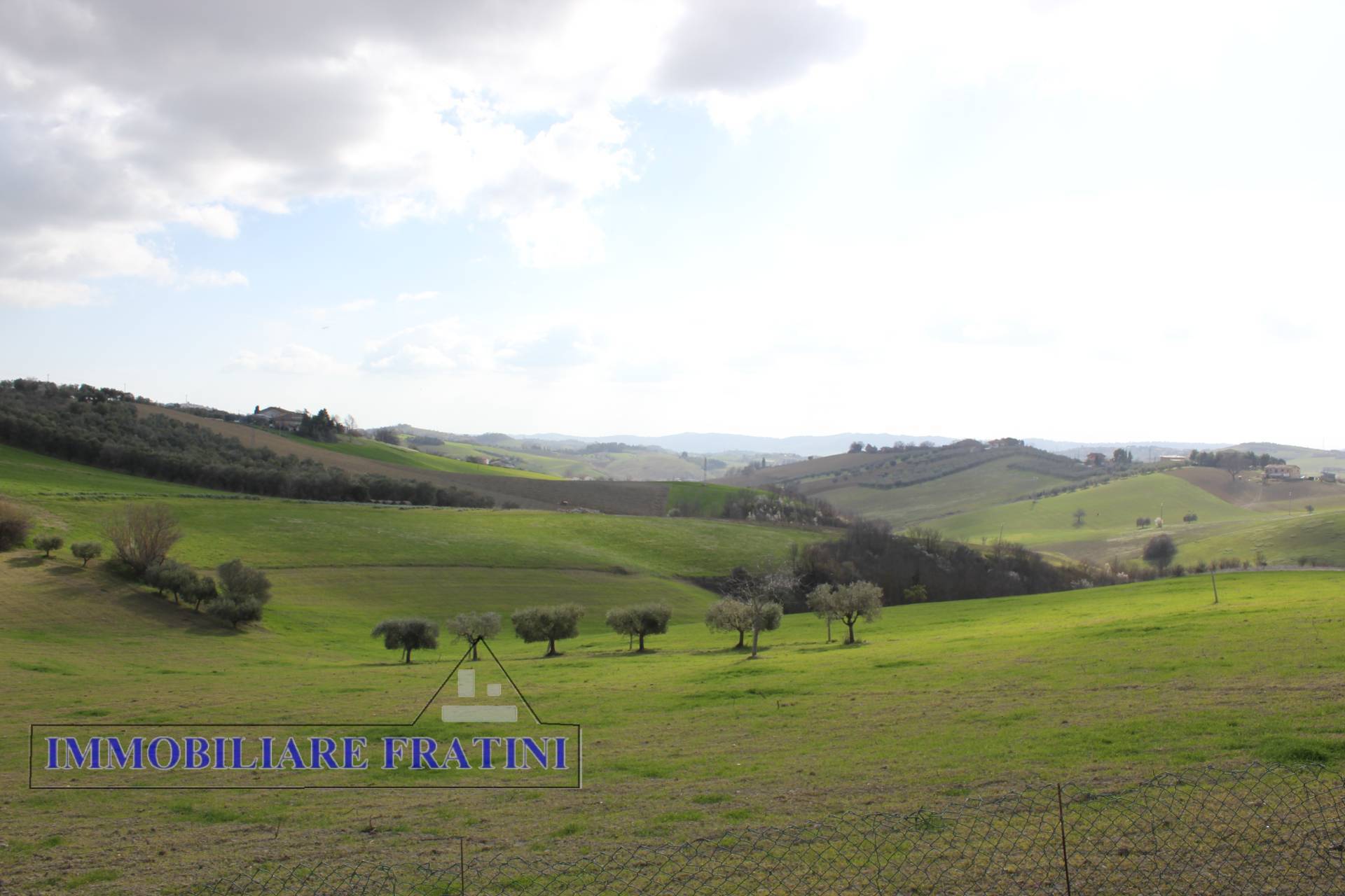 Terreno Agricolo in vendita a Appignano del Tronto