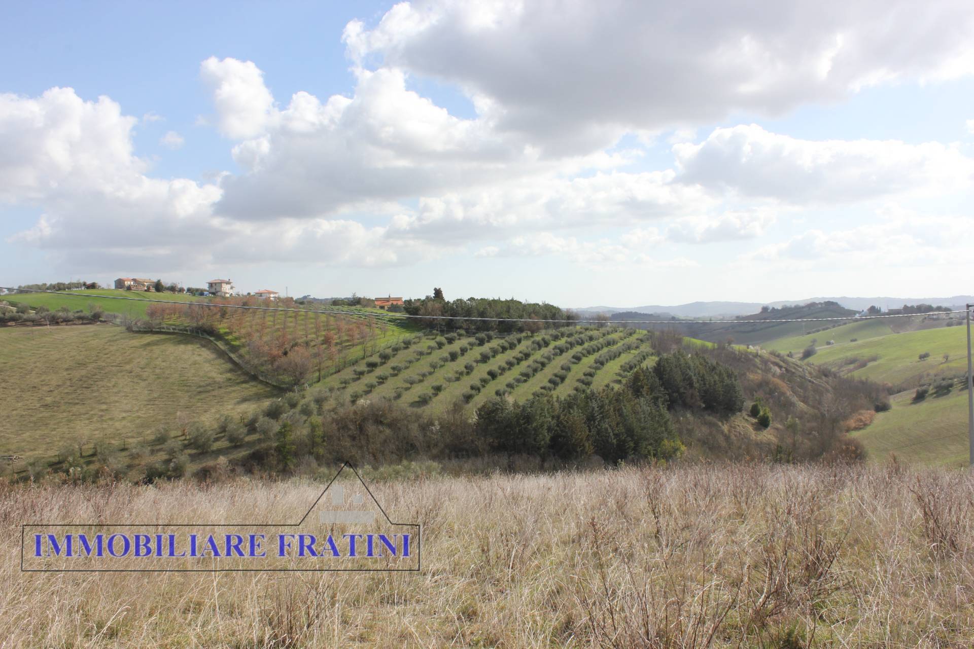 Terreno Agricolo in vendita a Appignano del Tronto