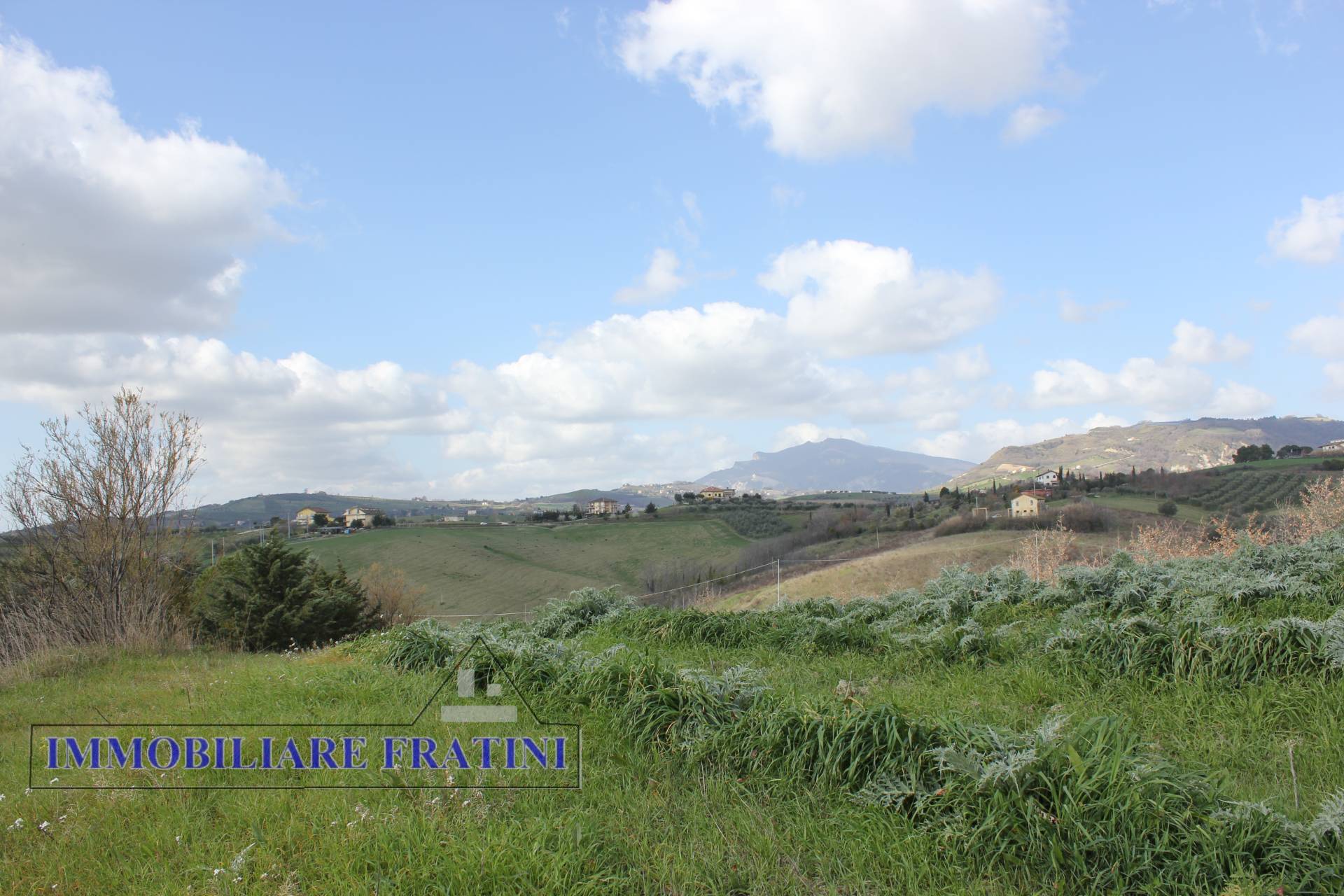 Terreno Agricolo in vendita a Appignano del Tronto
