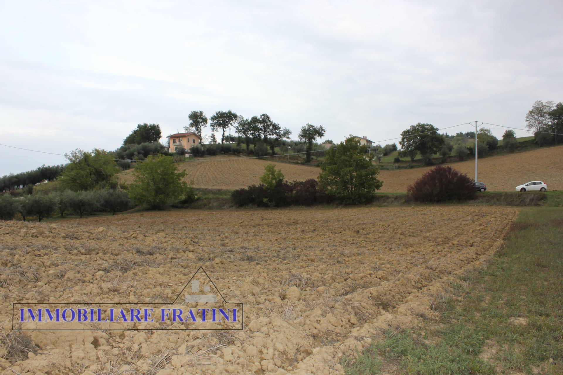 Terreno Agricolo in vendita a Tossicia