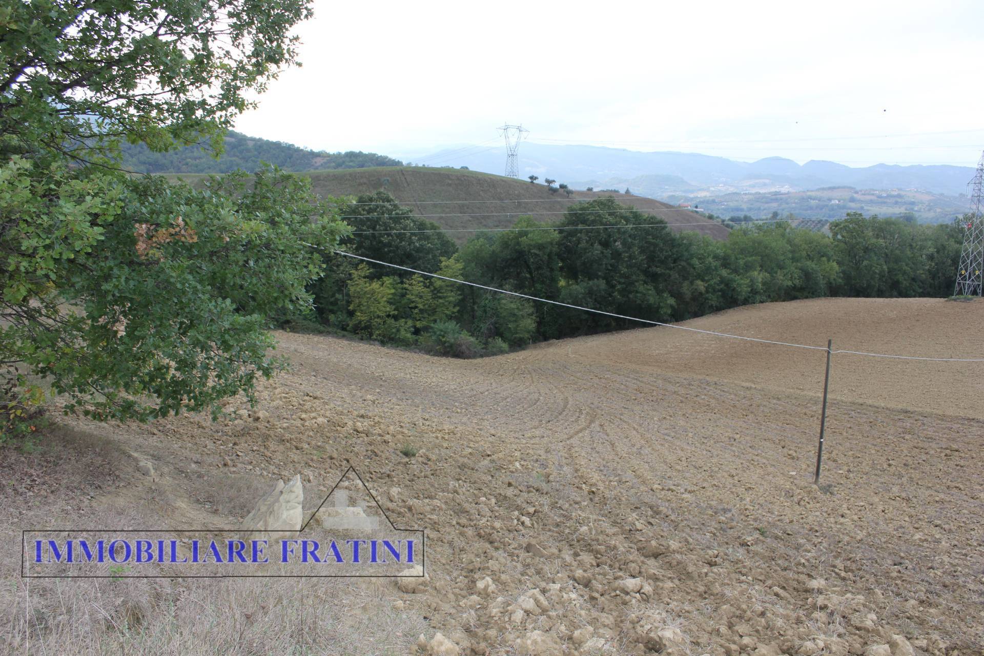 Terreno Agricolo in vendita a Tossicia
