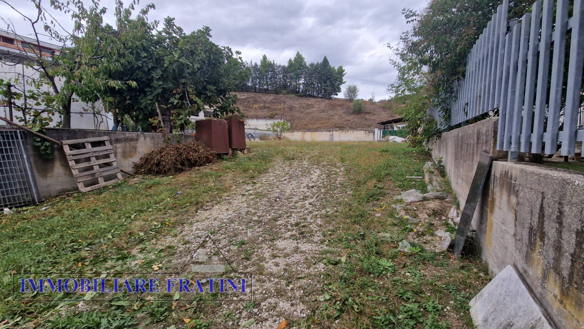 immagine annuncio 5 di 10